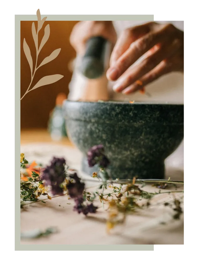 Ganandava Ayurveda - Tri-Prana